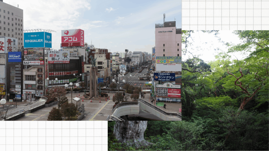 画像に alt 属性が指定されていません。ファイル名: %E5%90%8D%E7%A7%B0%E6%9C%AA%E8%A8%AD%E5%AE%9A%E3%81%AE%E3%83%87%E3%82%B6%E3%82%A4%E3%83%B3-1-1024x576.png